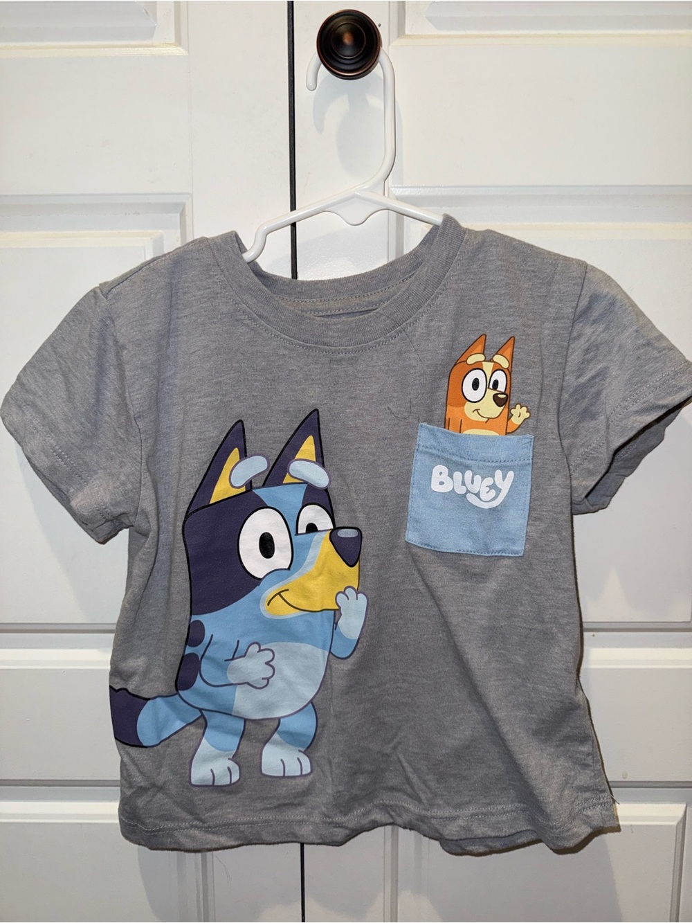 Bluey Graphic Pocket Tee - 2T